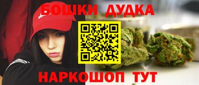 гашик Будённовск