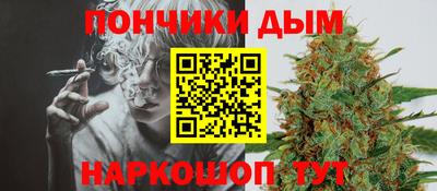 гашик Будённовск