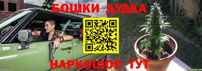 гашик Будённовск