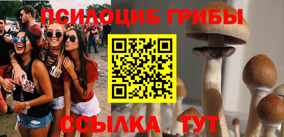 Псилоцибиновые грибы Psilocybine cubensis Шали